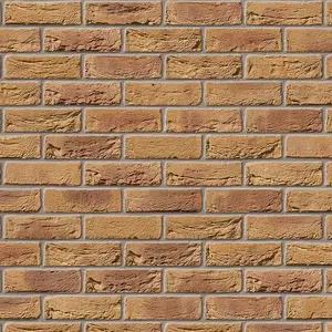 Ibstock Bradgate Golden Purple Brick 65mm Mini Pack 250