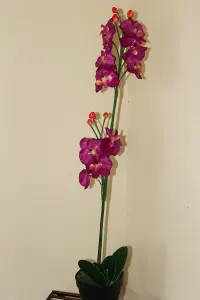 Garden Market Place Artificial Plants - 1M Tall Artificial Orchid Plant