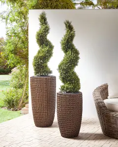 Set of 2 Plant Pots CEDRUS PE Rattan Brown