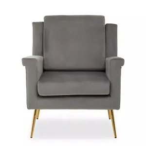 Interiors by Premier Grey Velvet Armchair For Livingroom, Modern Sturdy Armchair, Velvet Upholstered Accent Chair For Reading