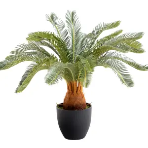 Blooming Artificial - 65cm / 2.25ft Fake Cycas Revoluta