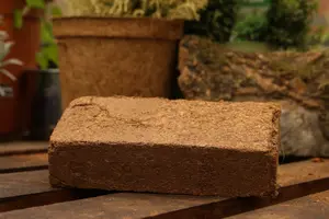 Coir Products CoirPlus With NPK 15L All Purpose Compost