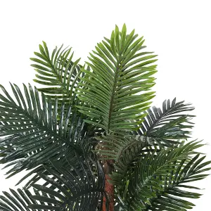 200cm H Artificial Cycas Palm Decorative Plant in Planter for Outdoor Office