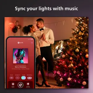 Philips Hue Festavia 500 LED Smart String Light