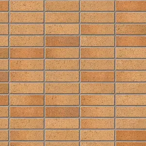 Ibstock Bristol Buff Multi Brick 65mm Mini Pack of 250