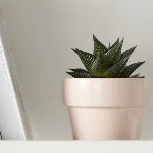 Verve Peach whip Clay Plant pot (Dia) 11cm, (H)9.5cm, 400ml