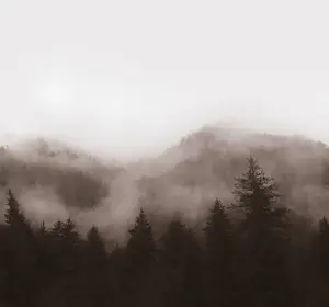 Art For the Home Misty Landscape Neutral Print To Order Fixed Size Mural