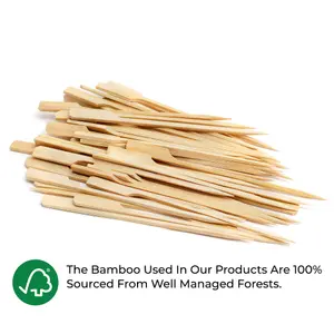 6000 Wooden Skewers - 18cm Bamboo Paddle Skewers