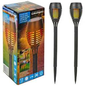 Birkdale Flame Effect Garden Spike 1 Light Pathway Light (Set of 2)