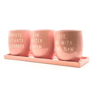 Set of 3 Pink Slogan Ceramic Planters with Tray