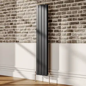 Vertical Designer Double Panel Radiator W 304 mm x H 1600 mm