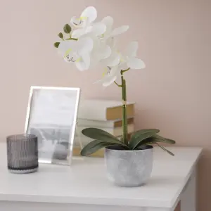 25cm White Orchid Artificial plant in Grey Ceramic Pot