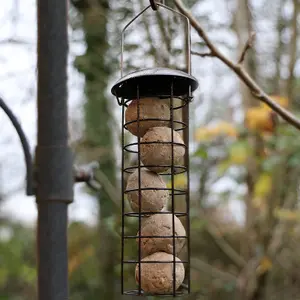 Hanging Wild Bird Feeder Set of 4 Nut Seed Fat Ball Nyger Garden Feeding Station