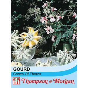 Gourds Crown Of Thorns 1 Seed Packet (25 Seeds)