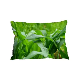 Green Leaves Corn Fields As Background (Outdoor Cushion) / 30cm x 45cm