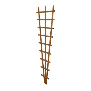 6ft Fan Pine Trellis panel (W)66cm x (H)183cm