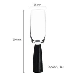 Oslo Champagne Flutes (Set of 2) Clear/Black