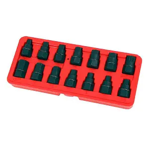 14 piece Master Oil Drain Plug Key Set (CT4020)