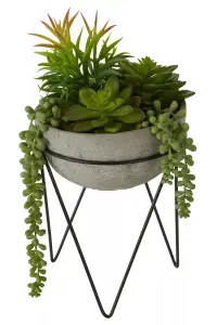 Fiori Mixed Succulent with Metal Stand Artificial Plant Foliage