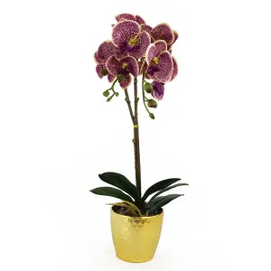 50cm Phalaenopsis Orchid Artificial - Purple Leopard - Gold Pot