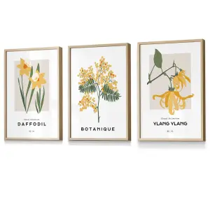 Set of 3 Framed Vintage Graphical Yellow Spring Flower Market / 30x42cm (A3) / Oak