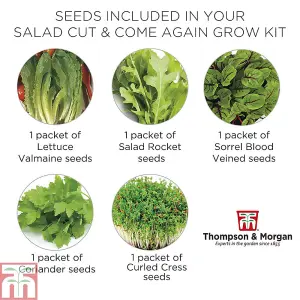 Seed Grow Kit Cut & Come Again Salad Leaves - Ideal Gift