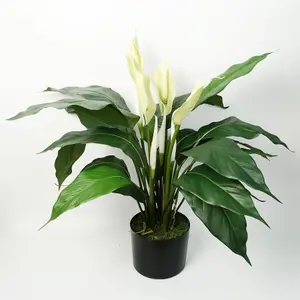 Artificial Peace Lily White Spathiphyllum