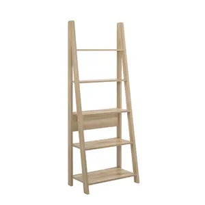 Arelious Ladder Bookcase Oak