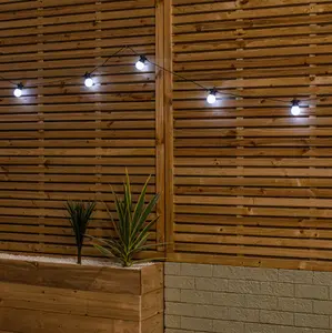 Set of 10 Indoor Outdoor Connectable Party Festoon Lights with Cool White LEDs