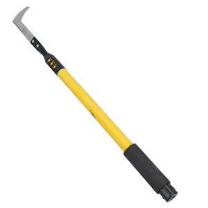 Telescopic Patio Paving Garden Slab Weeding Remover Tool