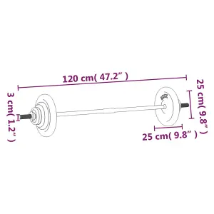 Barbell with Plates Set 30 kg Cast Iron