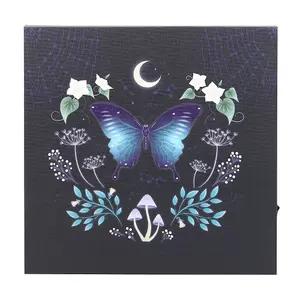 Something Different Midnight Moth Light Up Canvas Multicoloured (One Size)