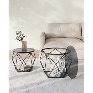 Alieya Round Coffee Tables, Set Of 2 Side Tables, Modern Style, Removable Tabletop, Steel Frame, For Living Room,Transparent-Cloud Black