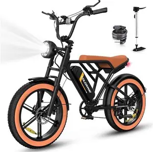 HITWAY 750W Electric Bike For Adults,20X4.0 Fat Tire Off-Road E Bike