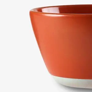 Sur La Table Colour Me Happy Orange Cereal Bowl