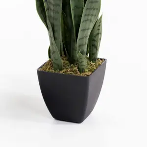 Blooming Artificial - 85cm / 2.75ft Artificial Sansevieria