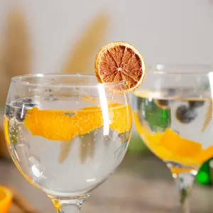 Rink Drink Spanish Gin Glasses - 645ml - Pack of 24