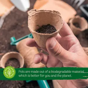 Fibre Plant Pots with Wooden Labels - 50 Pack 6cm  Biodegradable for Vegetables, Flowers, Herbs, and Easy Transplanting