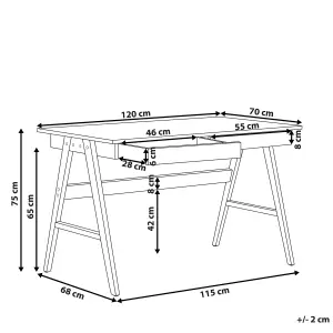 Home Office Desk with Storage Light Wood SHESLAY