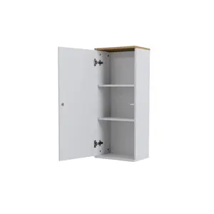 Zoraida 37cm x 21cm Wall Mounted Cabinet