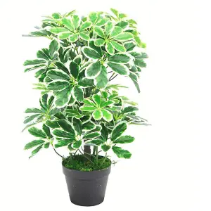 55cm Variegated Artificial Schefflera Arboricola Plant