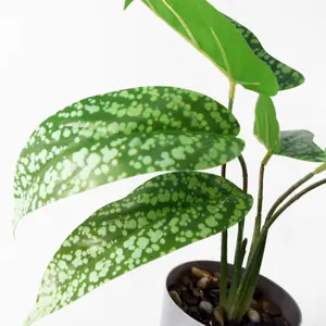 35cm Artificial Spotted Plant in Planter