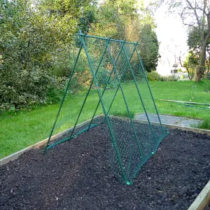 GardenSkill Easy Grow Pea Frame & Climbing Plant Support Trellis with Netting 1.2 x 1m H