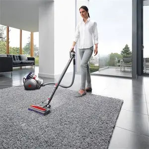 Dyson Big Ball Animal 2 CY28 Bagless Cylinder Vacuum Cleaner