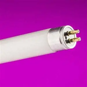 Crompton - 12 Inch 8W Fluorescent Tube - White T5