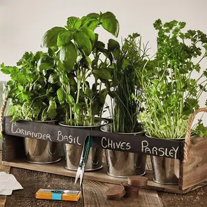 Gift Chalk Board Herb Garden Gift Set