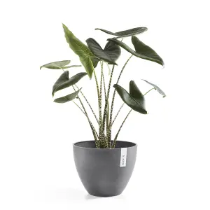 Circular & Co Antwerp Smooth Finish Ecopot 40cm Grey