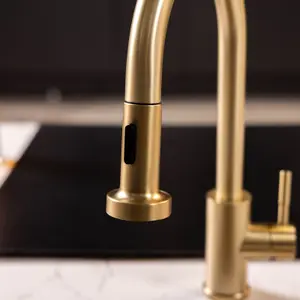 Flode Runda Kitchen Sink Mixer with Pull out Spray Brushed Brass Round Head