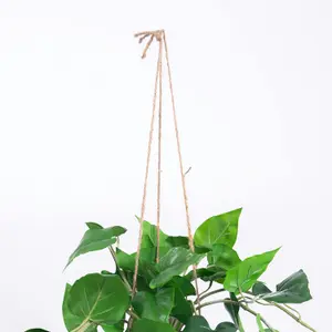 Blooming Artificial - 80cm / 2.5ft Faux Hanging Philodendron Scandens