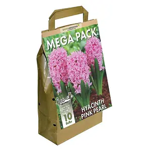 Hyacinth Mega Bag Pink Pearl (10 bulbs) Bee Friendly